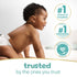 Pampers Baby Wipes Sensitive Fragrance-Free Pop-Top Packs, 16 pk./896 ct.