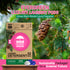 WBM Laundry Detergent Pods | Luxury Ever Green Scent