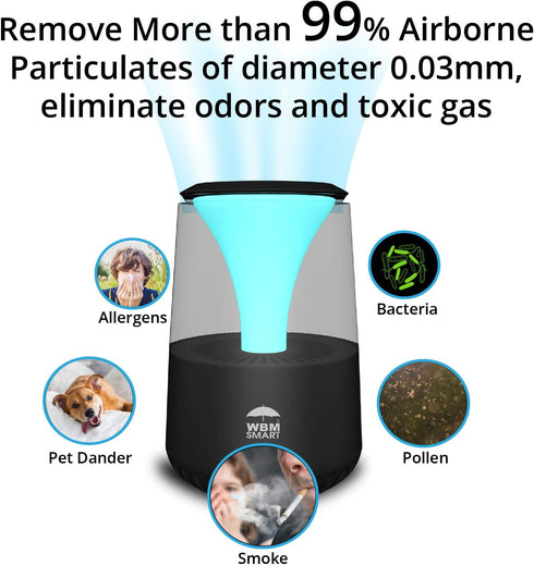 HEPA Air Purifier with Bluetooth Speaker - Black | WBM SMART